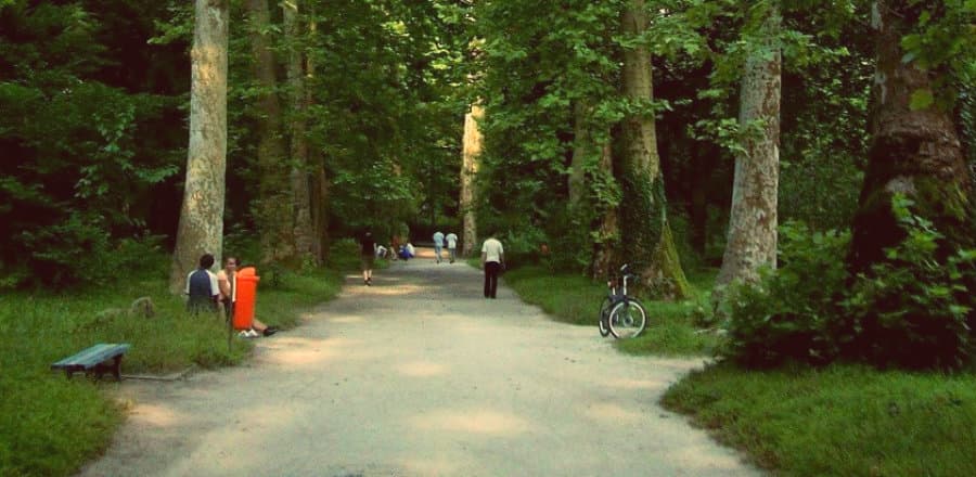 ზუგდიდის ბოტანიკური ბაღის ადმინისტრაცია ხვალ 19 თანამშრომელს დაემშვიდობება