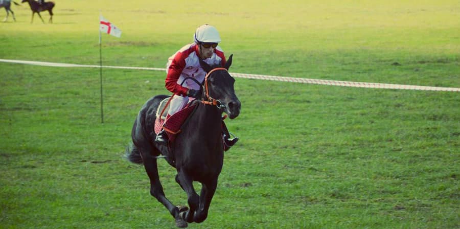 სოფელ ინგირში საცხენოსნო დოღი „ანაკლიის თასი 2018“ გაიმართა (ფოტორეპორტაჟი)