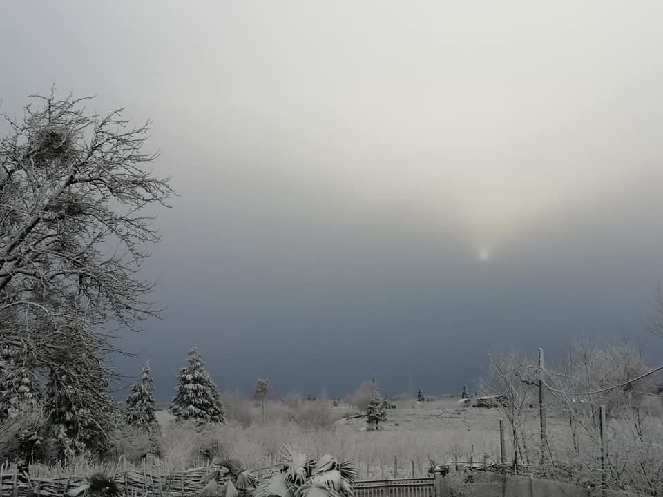 ზუგდიდის მუნიციპალიტეტში თოვლი მოვიდა [დღის ფოტო]