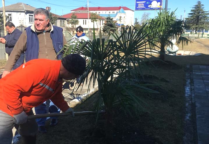 ფოთის სერვისების ცენტრის ჩართულობით ნაბადის უბანში 120 ძირი ხე დაირგო