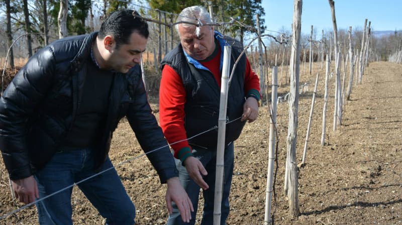 რეგიონში მუნიციპალური სანერგე მეურნეობების მოწყობა იგეგმება