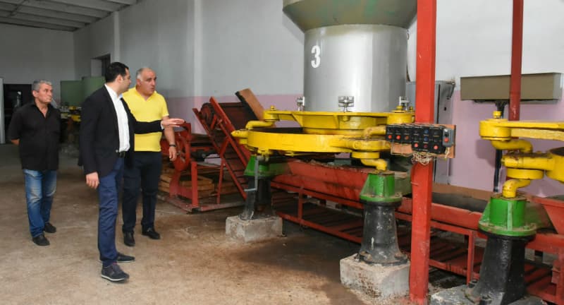 ალექსანდრე მოწერელიამ სოფელ დიდიჭყონში ჩაის საწარმო „მარტვილი“ დაათვალიერა