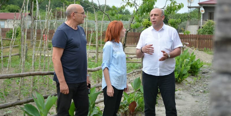 სოციალურმა კომისიამ განცხადებები განმუხურში გადაამოწმა