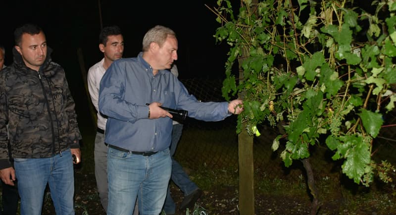 ძლიერმა სეტყვამ მარტვილის მუნიციპალიტეტში პრობლემები შექმნა