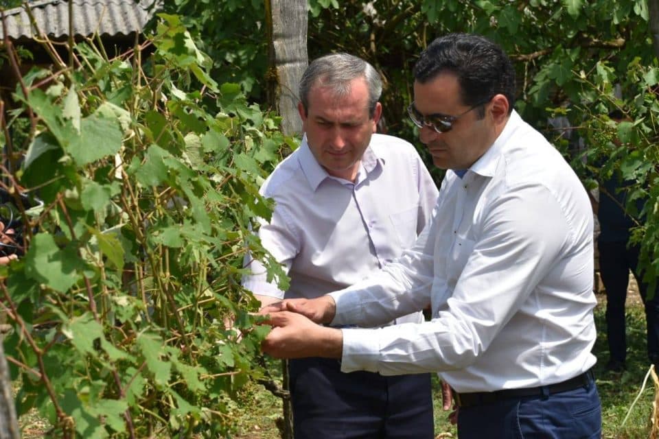ალექსანდრე მოწერელია სეტყვისგან მიყენებულ ზარალს გაეცნო