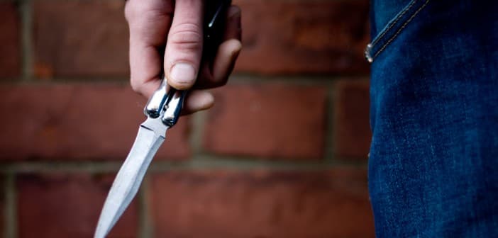 სოფელ დარჩელში ბაბუამ შვილიშვილი დაჭრა