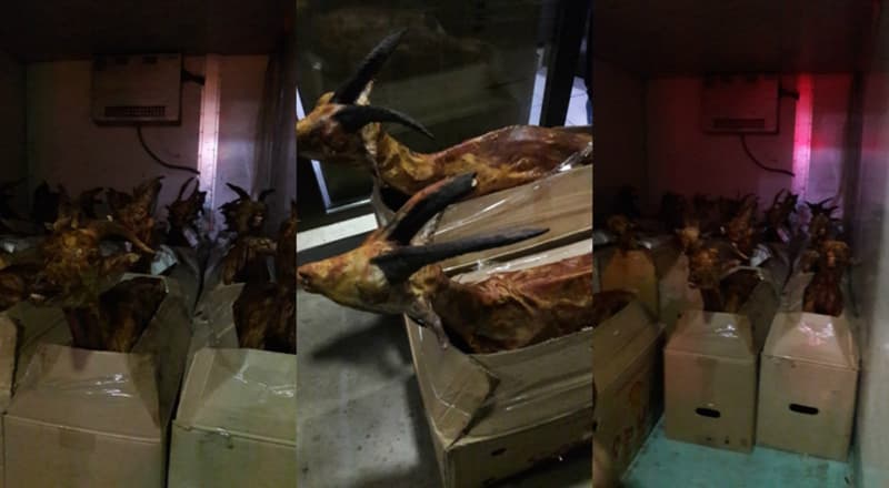 აფხაზური ქორწილისთვის თხები ზუგდიდში შეწვეს