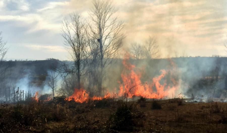 სამეგრელოს სამ მუნიციპალიტეტში ხანძარია