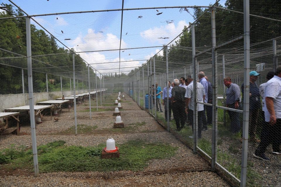 ნოჯიხევში ხოხბის საშენი მეურნეობა გაიხსნა