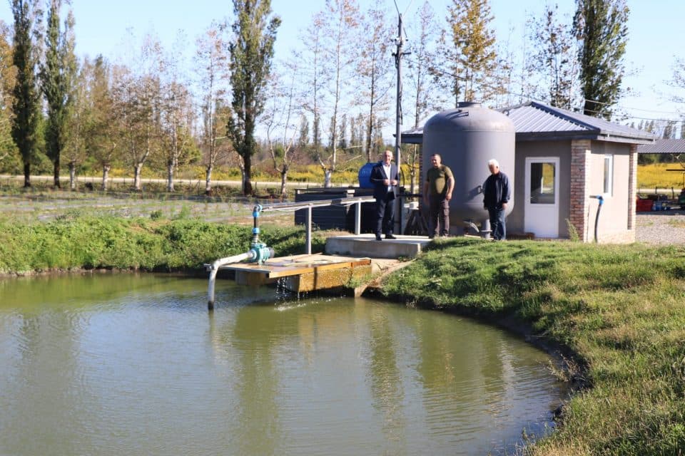 თორსა-დღვაბის ადმინისტრაციულ ერთეულში 12 ჰექტარზე ლურჯი მოცვის პლანტაცია გაშენდა