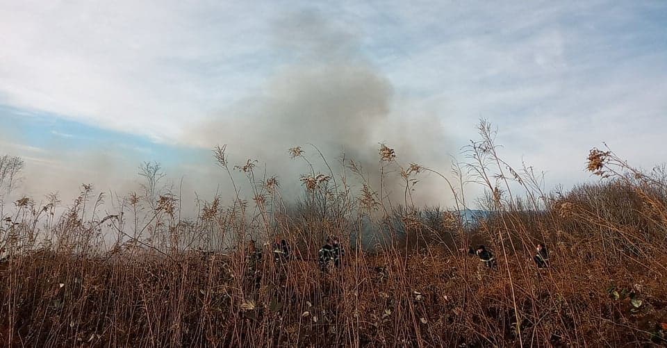 სამეგრელოში გაჩენილი ხანძრის კერების ლოკალიზება ამ დრომდე გრძელდება