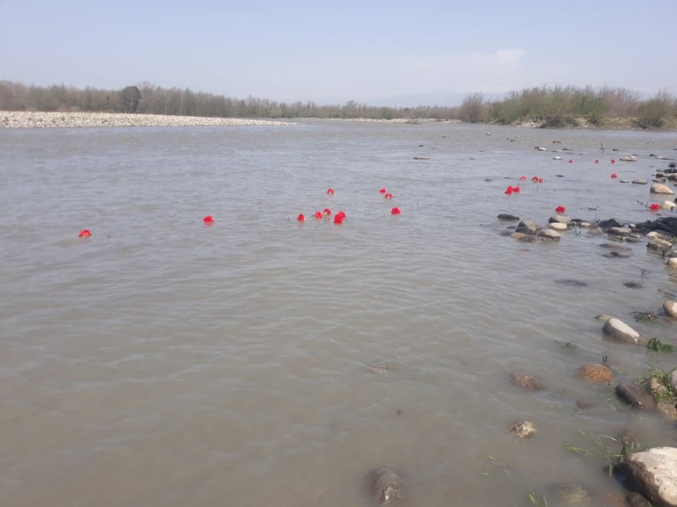 მდინარე ენგურში გარდაცვლილთა სულების უკვდავსაყოფად სიმბოლურად ყვავილები გაუშვეს