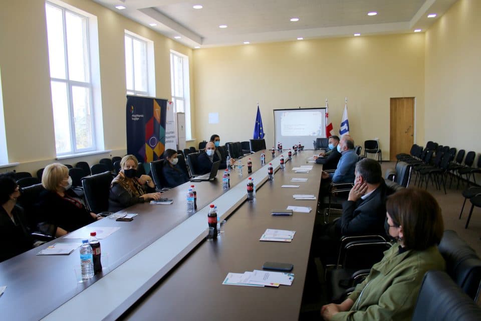 ,,მუნიციპალური ახალგაზრდობის პოლიტიკის” რეფორმა ხობში დაიწყო