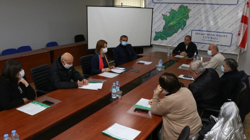 ,,ბავშვის უფლებათა კოდექსის იმპლემენტაციის ხელშეწყობა“ – ონლაინ შეხვედრა სენაკის მერიაში