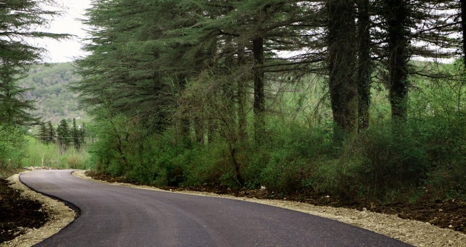 მენჯი-სახარბედიოს დამაკავშირებელი გზა აღდგენილია