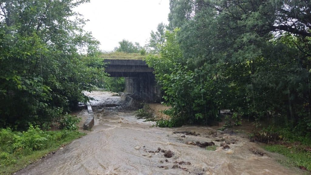 ხობში ძლიერმა წვიმამ პრობლემები შექმნა - image 3