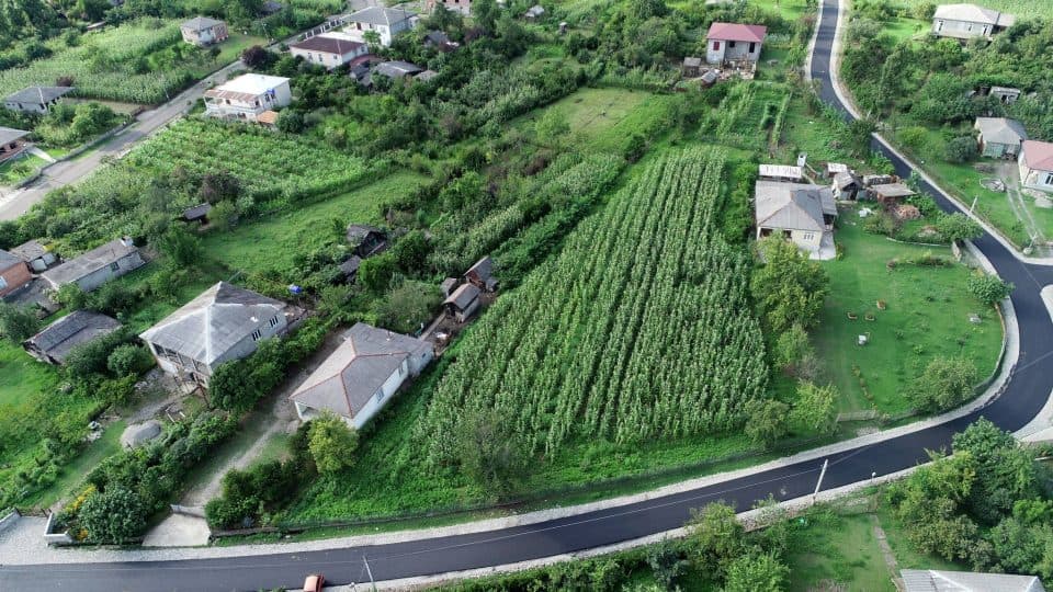 სენაკს კიდევ ერთი განახლებული ქუჩა შეემატა