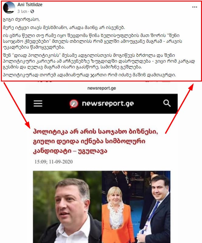 საარჩევნოდ საკითხავი ბლოგი – როდის იტყუებოდა ანი წითლიძე? - image 2