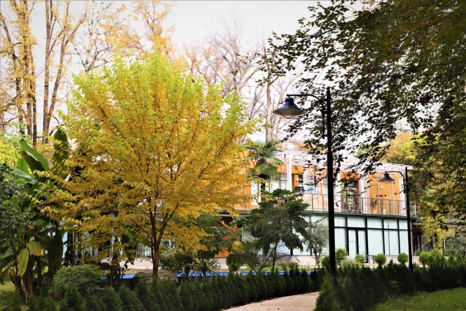 ზუგდიდის ბოტანიკურ ბაღში ერთჯერადი და სააბონენტო ტარიფებით სარგებლობა პირველი თებერვლიდან ამოქმედდება