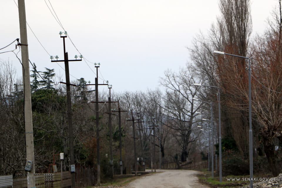 ,,სოფლის მხარდაჭერის პროგრამა“ სენაკის მუნიციპალიტეტის ახალსოფლის ადმინისტრაციულ ერთეულში