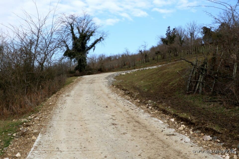 ,,სოფლის მხარდაჭერის პროგრამა” სენაკის მუნიციპალიტეტის სოფელ ხორშში