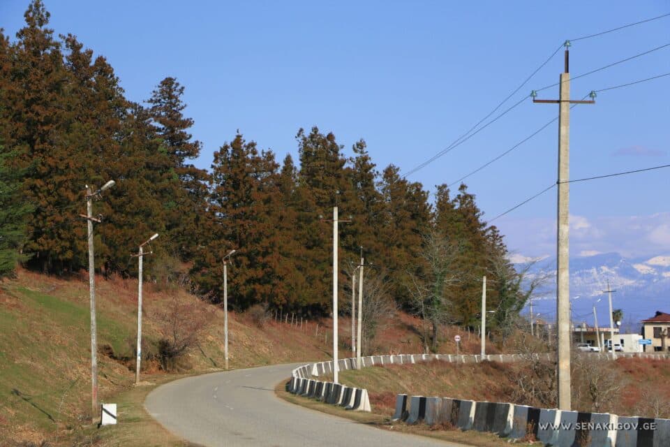 სოფლის მხარდაჭერის პროგრამა- 2021 სენაკის მუნიციპალიტეტში