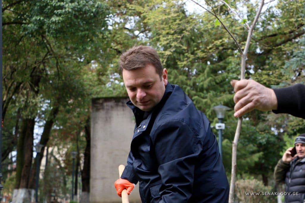 სენაკის მერის ინიციატივით, სენაკში გამწვანების აქცია ჩატარდა - image 2