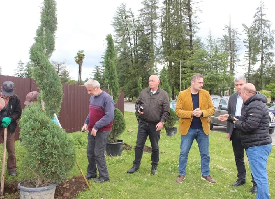 წალენჯიხის მერის ინიციატივით, მუნიციპალიტეტში გამწვანების აქცია აქტიურად მიმდინარეობს