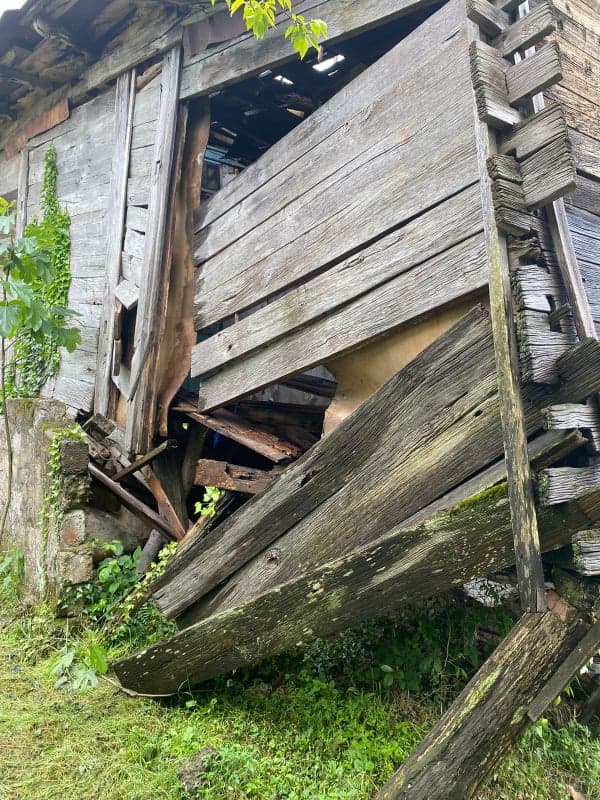 სოფელ საჩინოში საკარმიდამო მიწის ნაკვეთი მეწყერის გამო დაზიანდა,რამაც საცხოვრებელი სახლის ნაწილის ნგრევა გამოიწვია - image 2