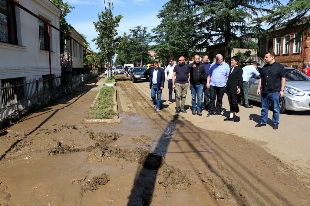 სენაკში წყალდიდობის შედეგად დაზარალებული მოსახლეობის სახლებისა და ეზოების დასუფთავებაში მოხალისეები ჩაერთვნენ - image 2