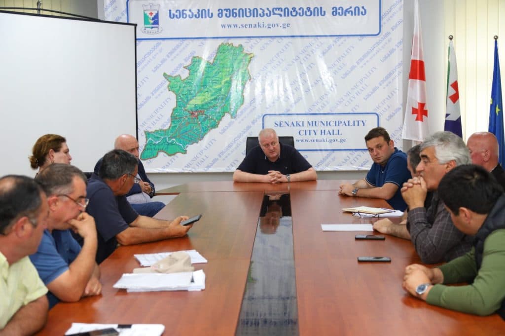 სენაკში სტიქიის სალიკვიდაციო სამუშაოები მიმდინარეობს - image 2