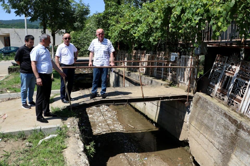რწმუნებულის მოადგილე სენაკში, სტიქიისგან დაზიანულ ობიექტებს გაეცნო