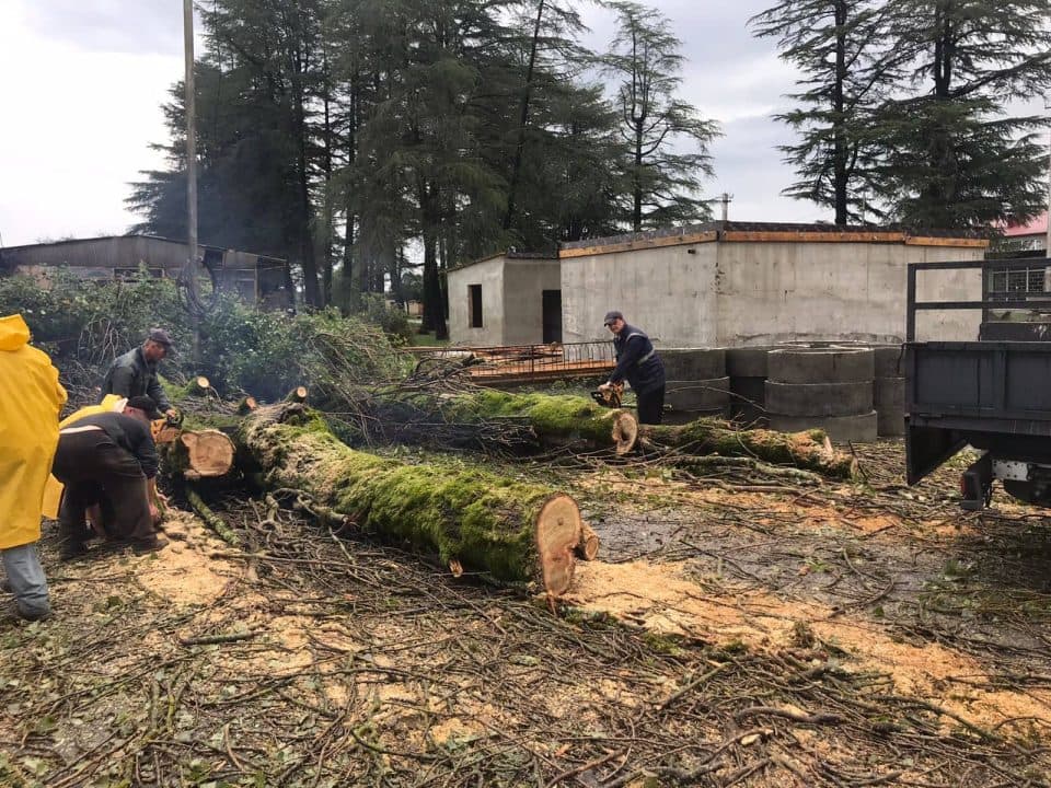 ზუგდიდის მუნიციპალიტეტში სტიქიის შედეგად მიყენებული ზიანის აღდგენითი სამუშაოები მიმდინარეობს