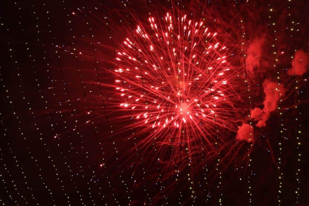 სენაკში, ქალაქის მთავარი ნაძვის ხე საზეიმოდ აინთო - image 3