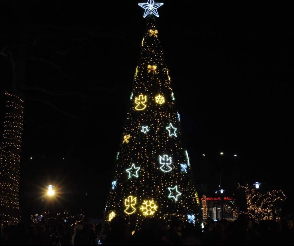 აბაშის მუნიციპალიტეტში ნაძვის ხე საზეიმოდ აინთო