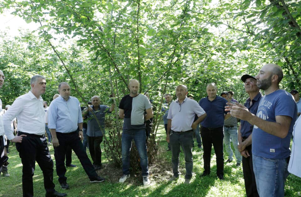 ოთარ შამუგია ზუგდიდის მუნიციპალიტეტში მეთხილე ფერმერებს შეხვდა