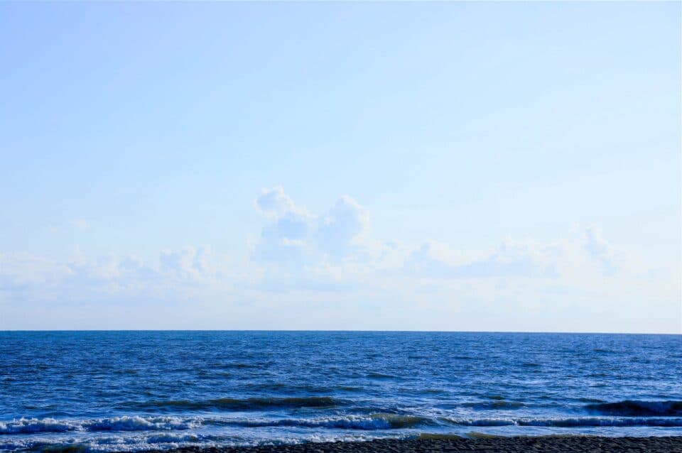 გარემოს ეროვნული სააგენტო: შავი ზღვის წყლის ხარისხი ნორმაშია