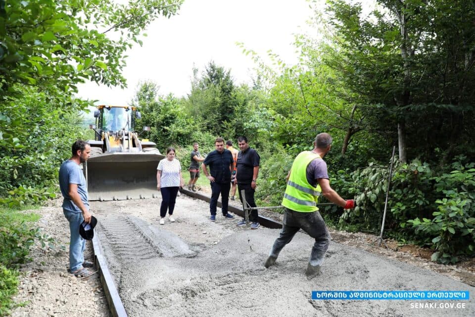სენაკის მერი ხორშში განხორციელებულ პროექტს გაეცნო