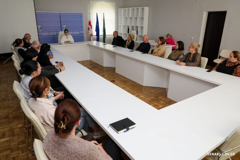 სენაკის მერის ახალი მოადგილე საკურატორო სამსახურებს შეხვდა