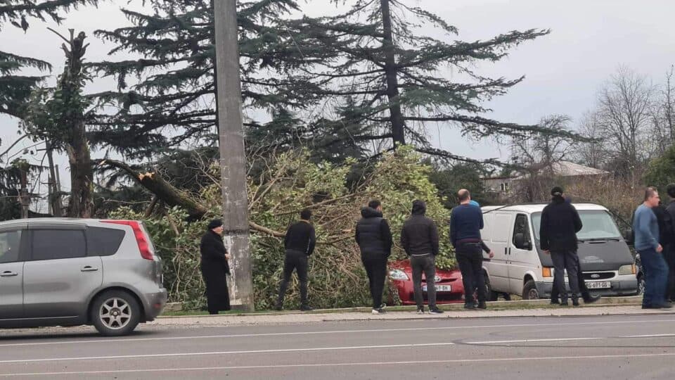 ზუგდიდში თამარ მეფის და თბილისის ქუჩებზე ქარმა ხეები მოგლიჯა