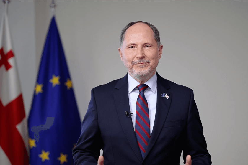 ევროკავშირის წევრი ქვეყნების ელჩები საქართველოს კანდიდატის სტატუსის მინიჭებას ულოცავენ