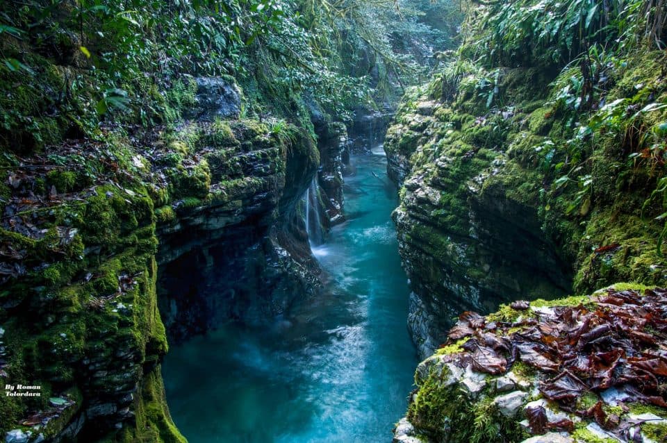დაცული ტერიტორიების სააგენტო: ბალდის კანიონის ტერიტორიაზე ბიომრავალფეროვნებაზე ზემოქმედებას ექსპერტები შეაფასებენ