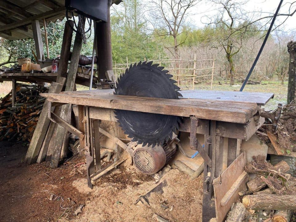 სამეგრელოში 7 უკანონო სახერხი საამქრო გამოავლინეს