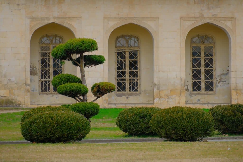 ფოტორეპორტაჟი დადიანების დედოფლისეული სასახლიდან - image 17