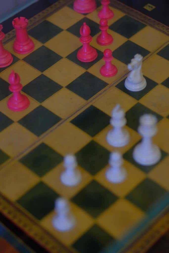 ფოტორეპორტაჟი დადიანების დედოფლისეული სასახლიდან - image 16