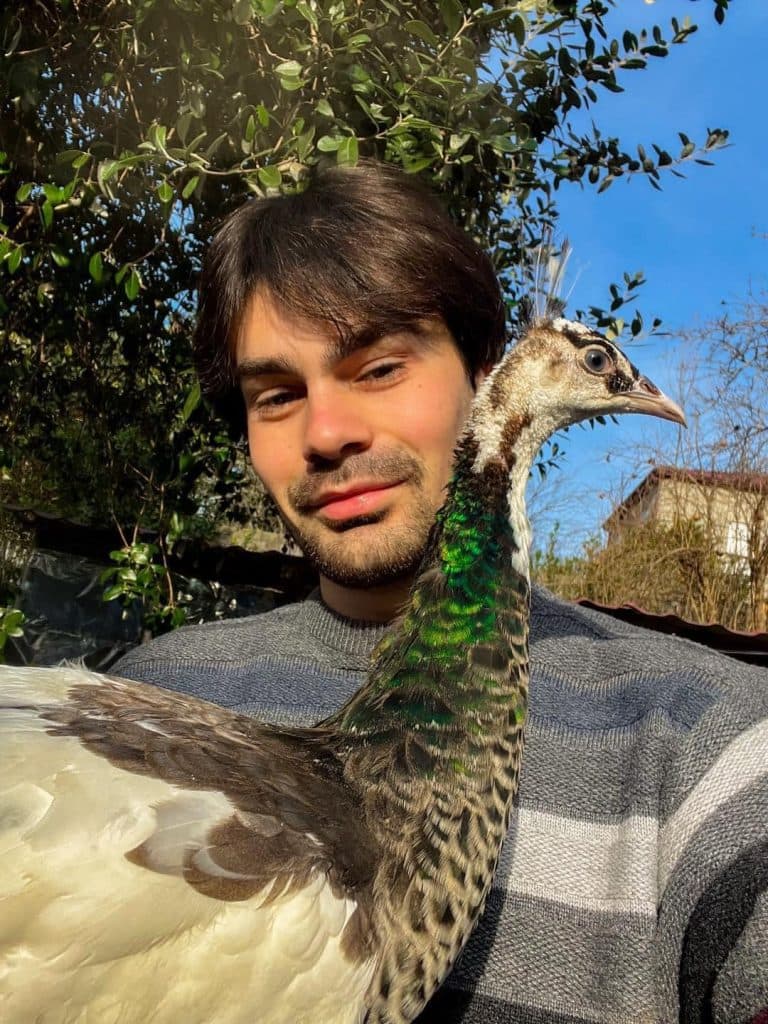 იშვიათი ჯიშის ფრინველები სენაკიდან - image 13