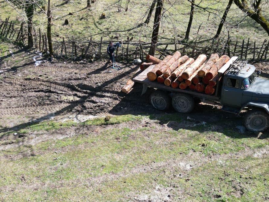 ბალდაში დიდი ოდენობით მრგვალი მორის უკანონო ჭრა-ტრანსპორტირების ფაქტი გამოვლინდა