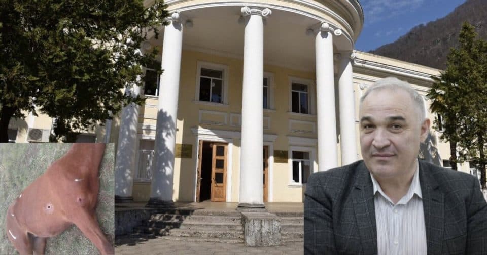 ტყვარჩელის ,,გამგებლის” დავალებით ქალაქში ცხენები მოკლეს, მეპატრონემ კი ,,გამგეობასთან” მანქანები ჩაცხრილა