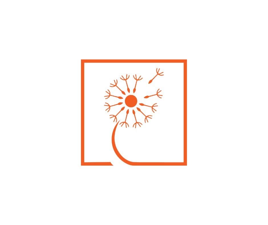 „ბედნიერების ფონდი“ ახალ სასწავლო კურსს იწყებს – (გა)მართე გზა მიზნის რეალიზაციისა და წარმატებისკენ!