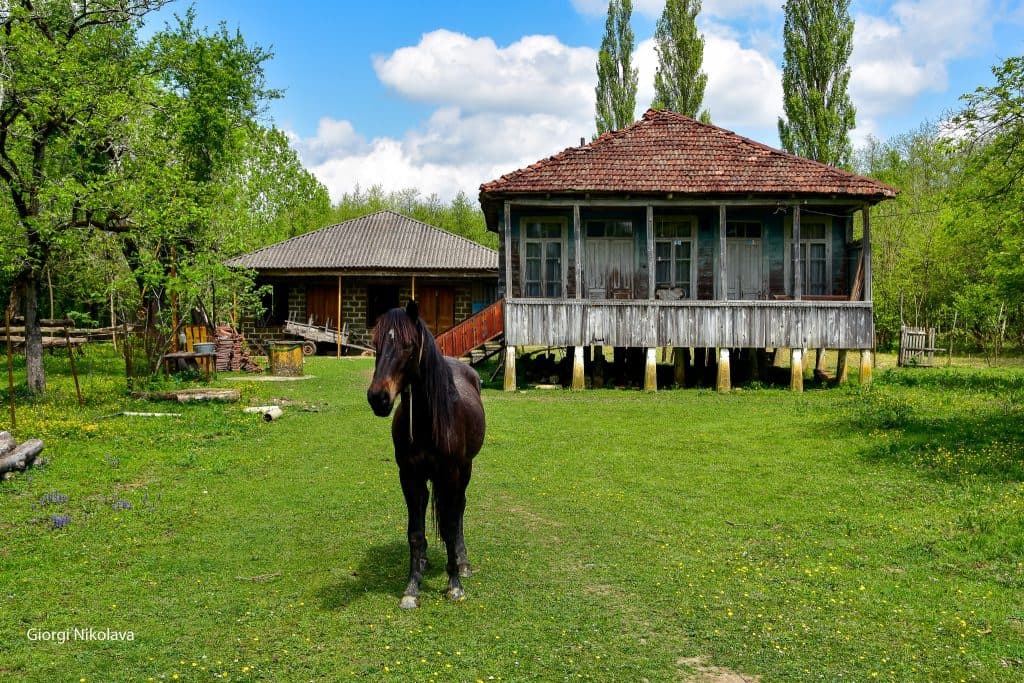 ოდები აბაშიდან – გიორგი ნიკოლავას ფოტორეპორტაჟი - image 3